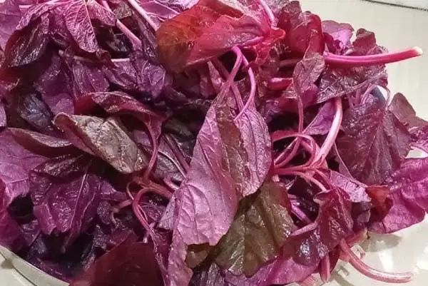 Health tips - ShareChat