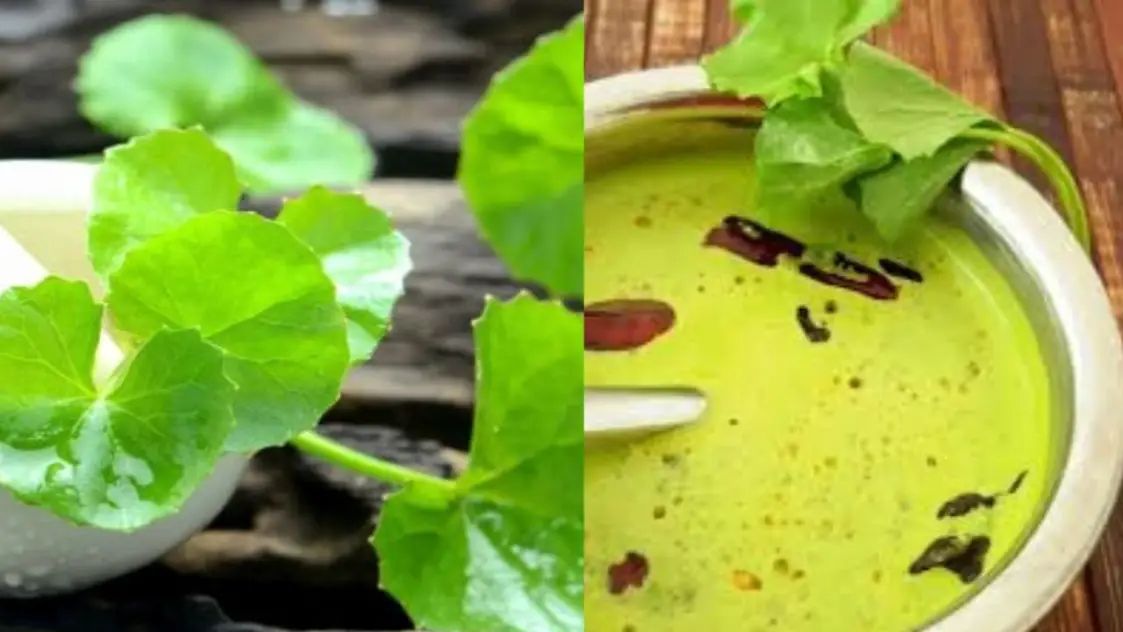 Health tips - ShareChat